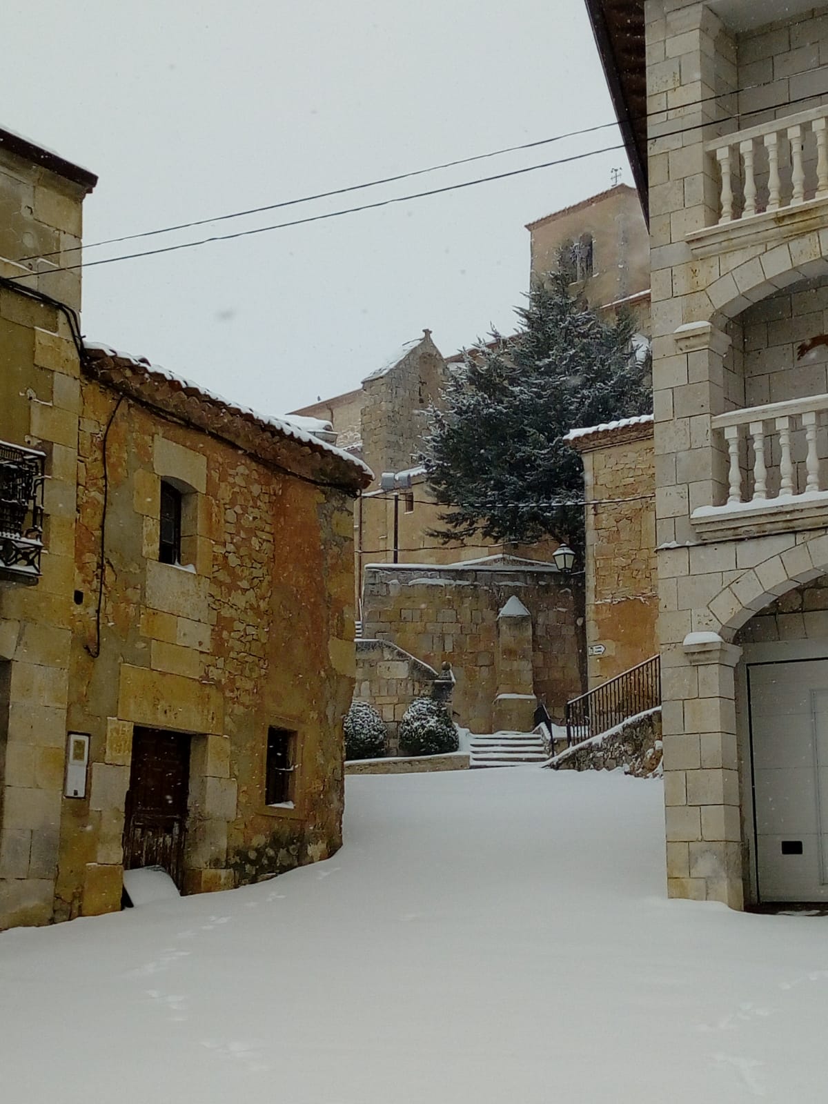 Fotos: La Ribera se cubre de blanco por la nieve de Filomena