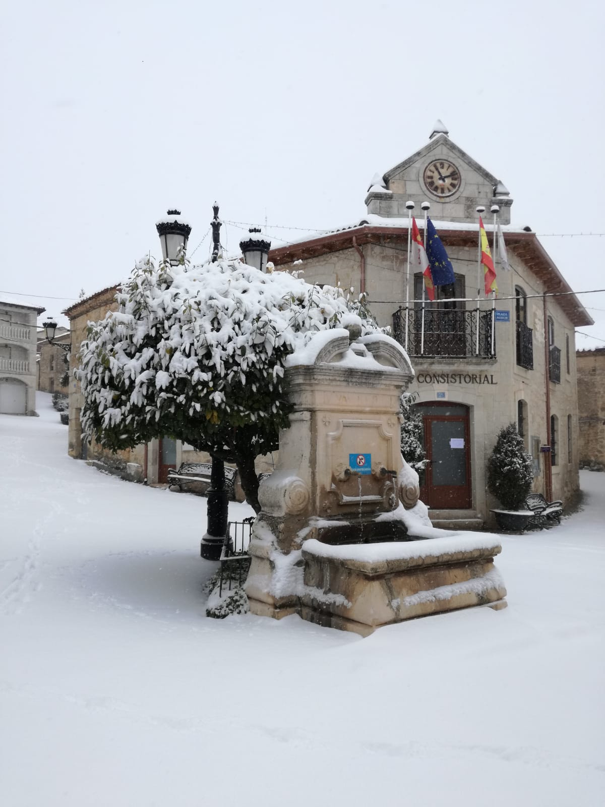 Fotos: La Ribera se cubre de blanco por la nieve de Filomena