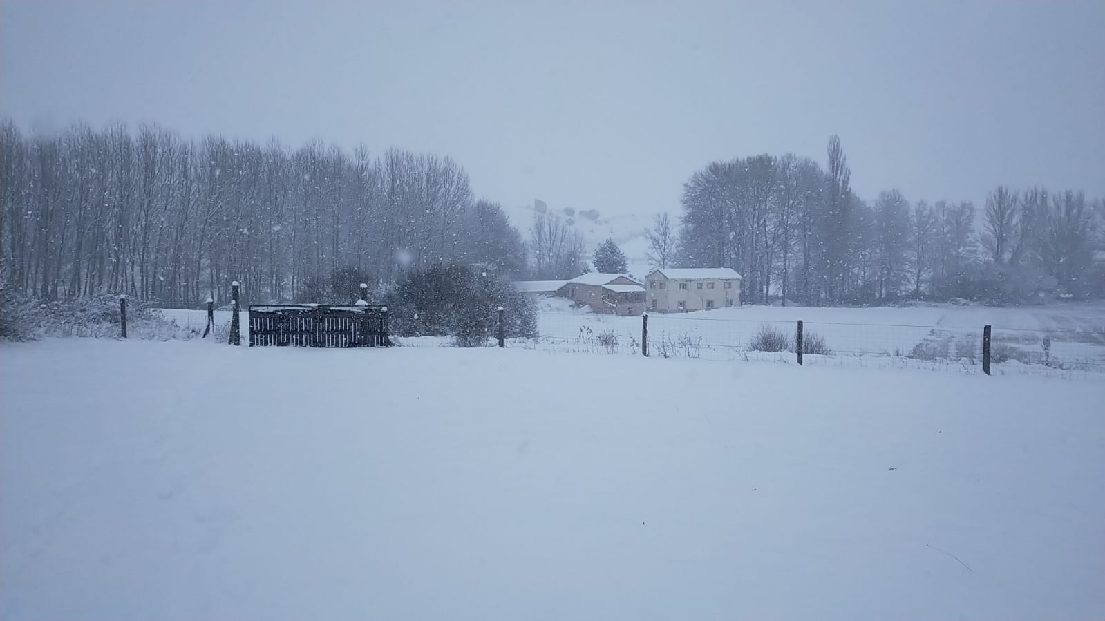 Fotos: La Ribera se cubre de blanco por la nieve de Filomena