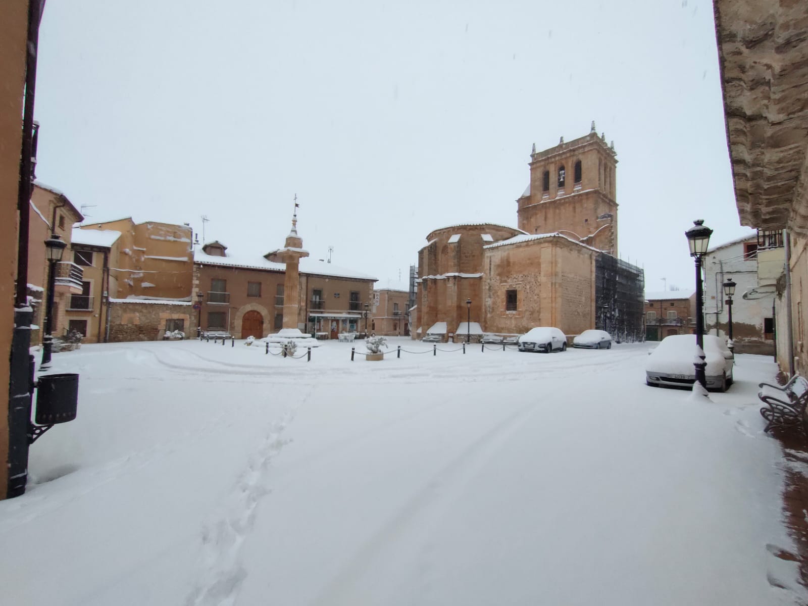 Fotos: La Ribera se cubre de blanco por la nieve de Filomena