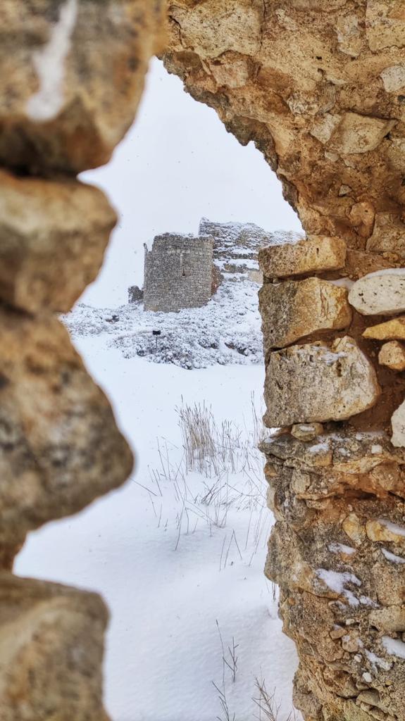 Fotos: La Ribera se cubre de blanco por la nieve de Filomena