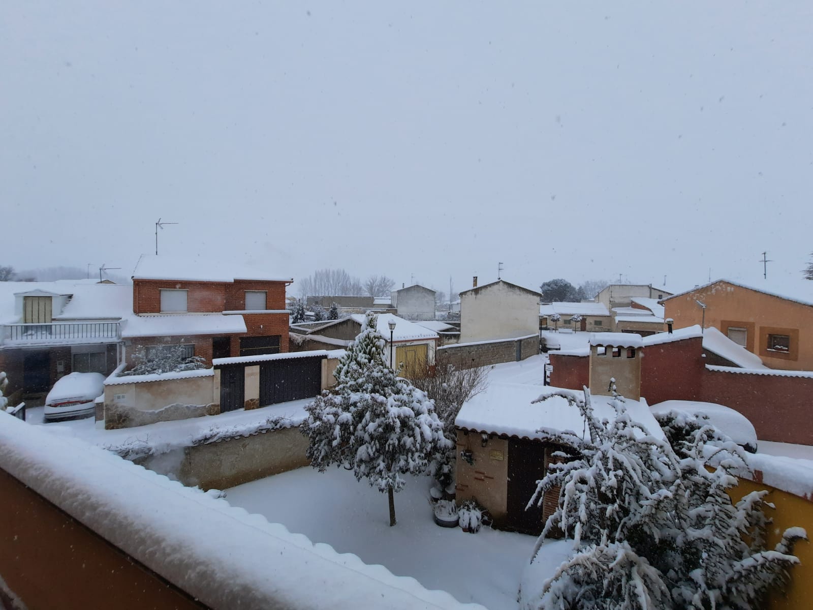 Fotos: La Ribera se cubre de blanco por la nieve de Filomena