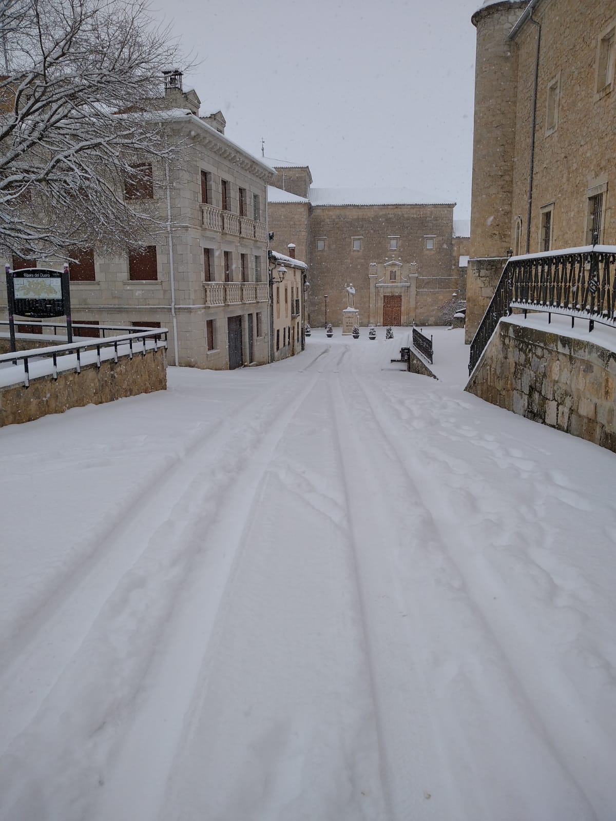 Fotos: La Ribera se cubre de blanco por la nieve de Filomena