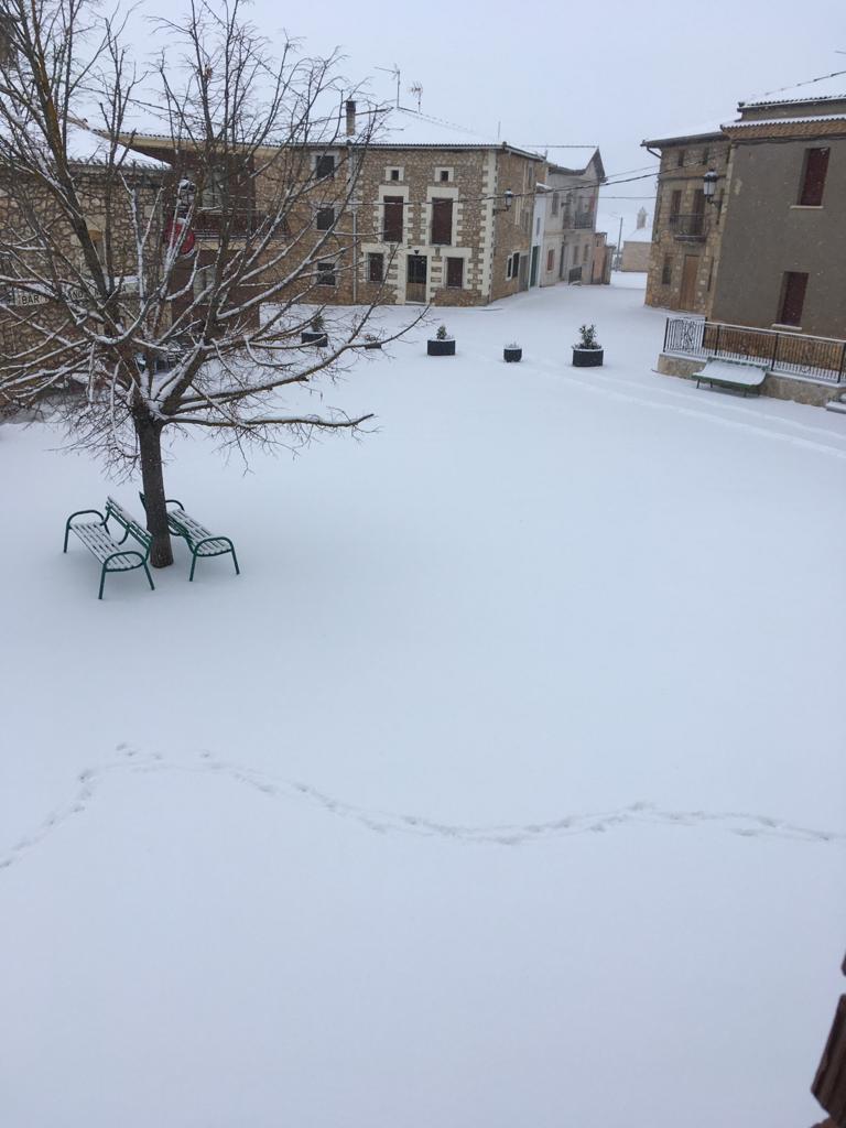 Fotos: La Ribera se cubre de blanco por la nieve de Filomena