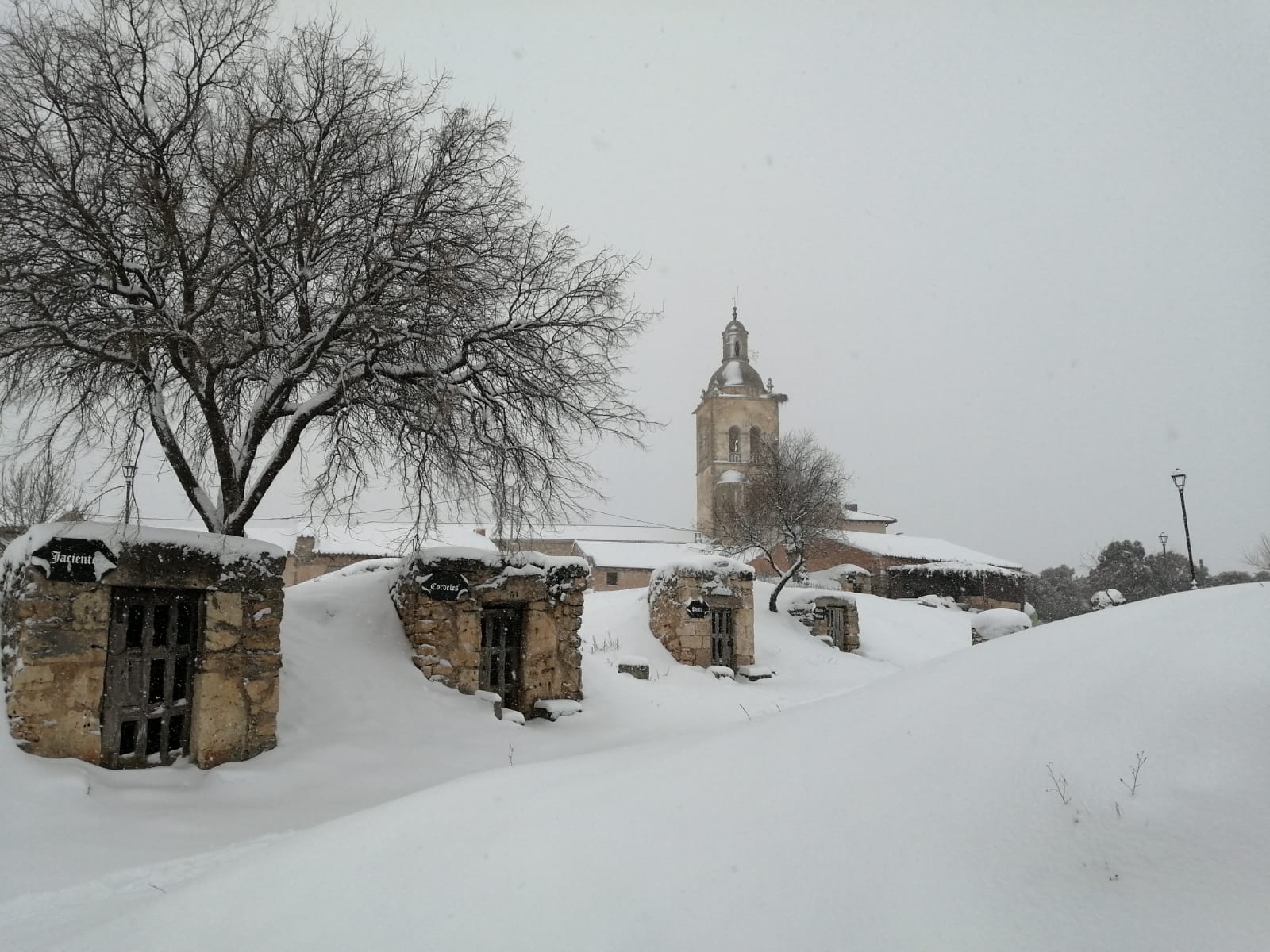 Fotos: La Ribera se cubre de blanco por la nieve de Filomena