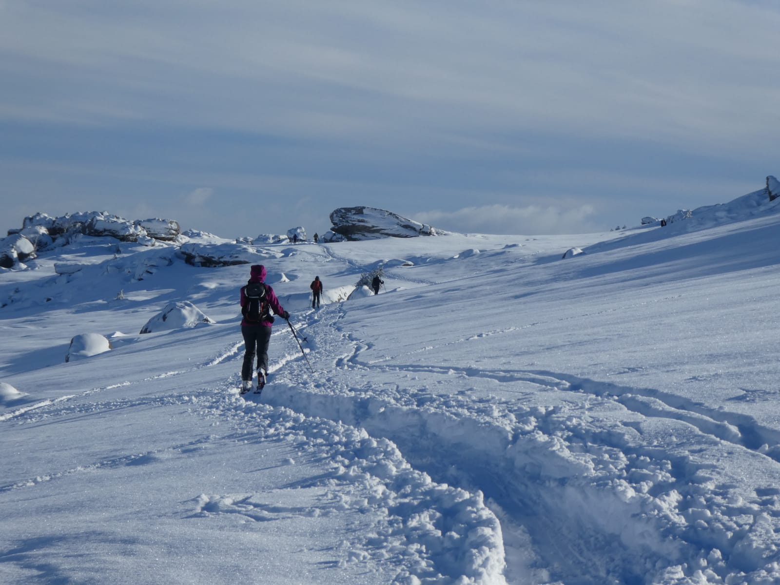 Fotos: Al rescate de las yeguas sepultadas por la nieve en Castro Valnera (Burgos)