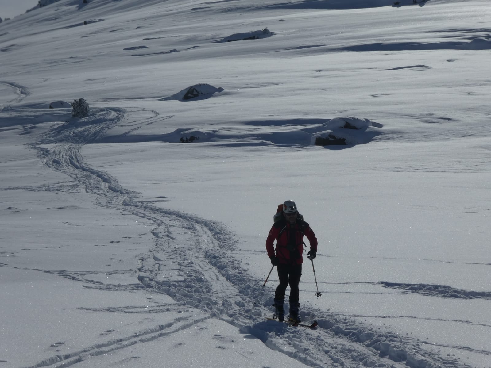 Fotos: Al rescate de las yeguas sepultadas por la nieve en Castro Valnera (Burgos)