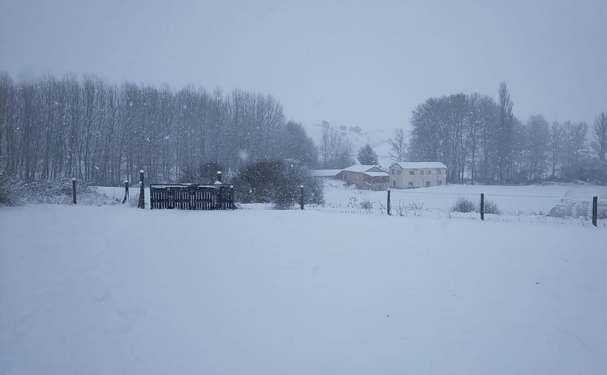 La Ribera ha sido una de las zonas más afectadas por la nieve.