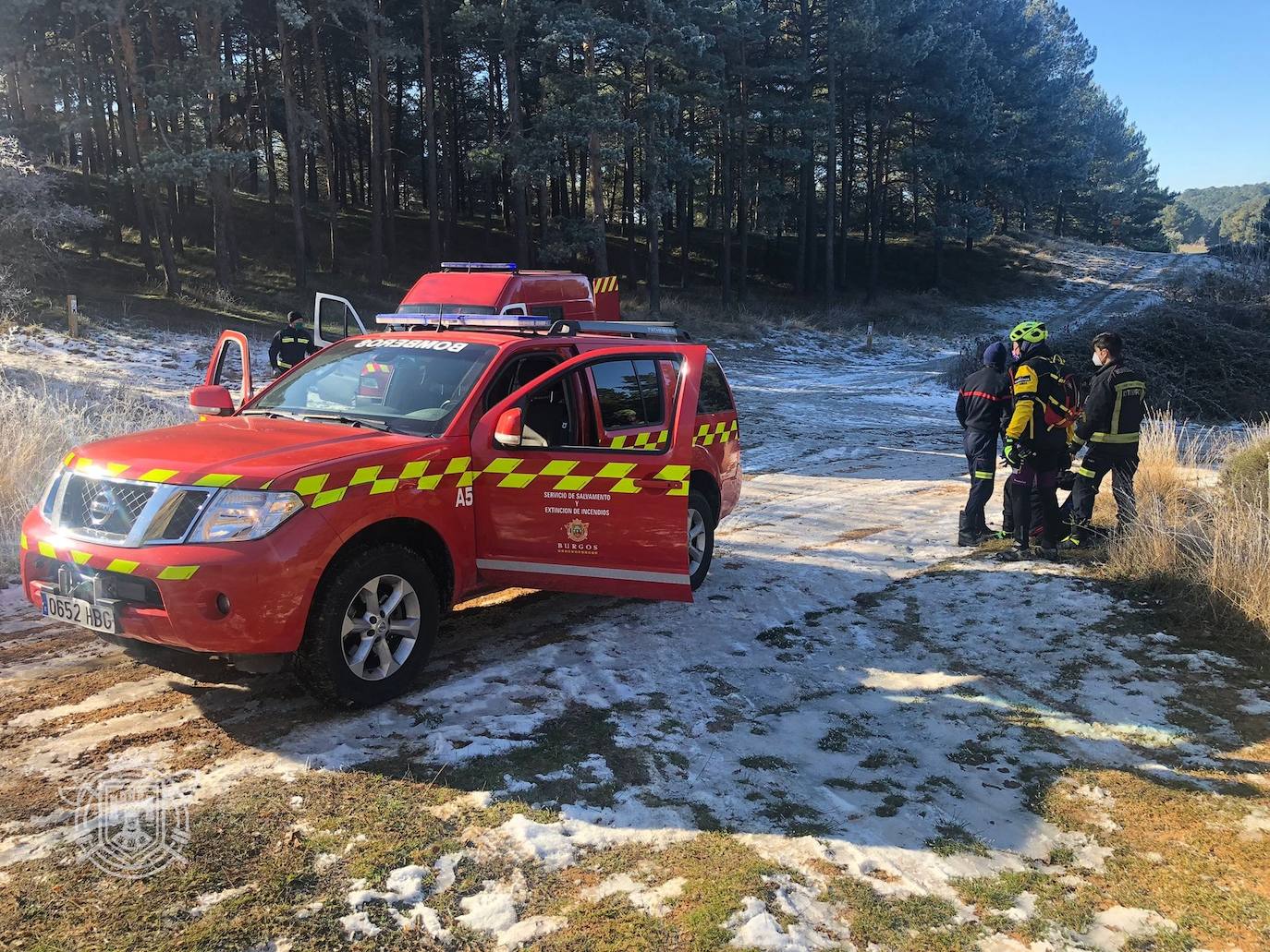 Zona del pinar de Fuente Dorado donde fue rescatada la ciclista que practicaba BTT. 