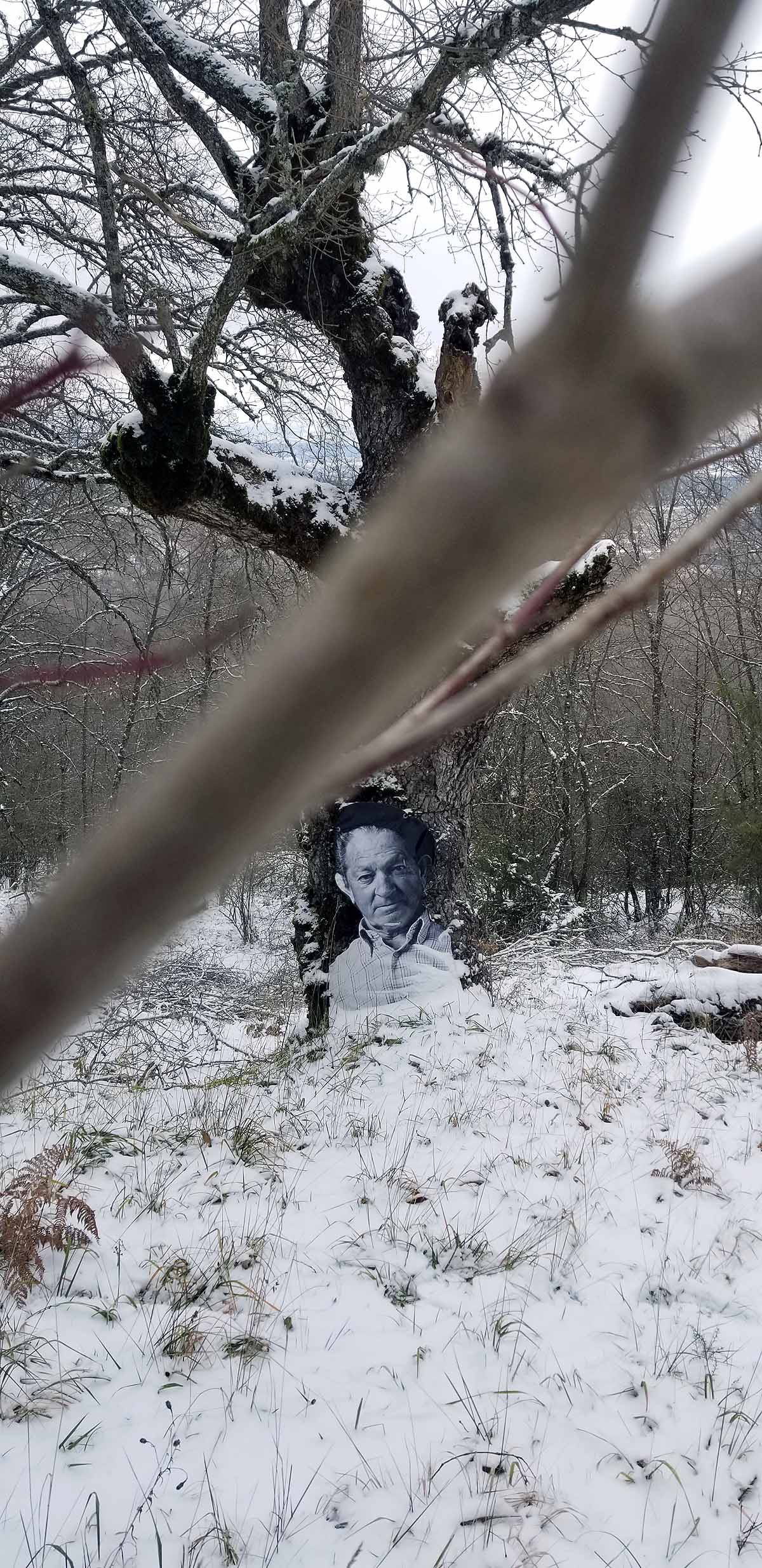 Unidos a los robles cuyas raíces anclan a la tierra de Lara, en una dehesa a la sombra de la sierra de Las Mamblas, cerca de Mambrillas de Lara, se encuentra el proyecto fotográfico 'Enraizados' | Un plan al aire libre para estos días de cierre provincial, un homenaje a los que han trabajado la tierra. 