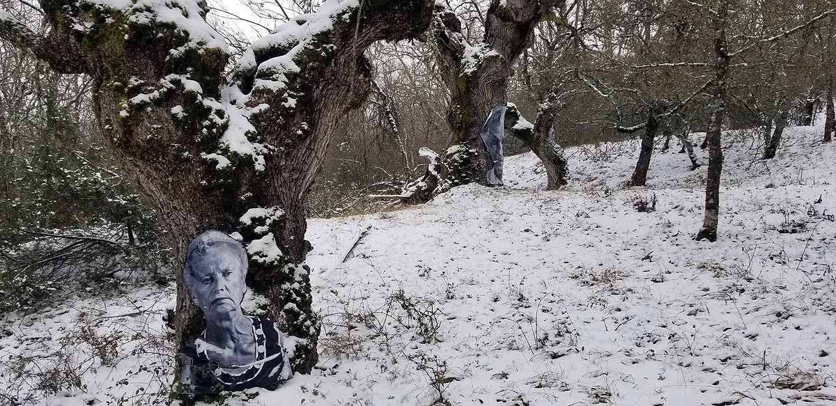Unidos a los robles cuyas raíces anclan a la tierra de Lara, en una dehesa a la sombra de la sierra de Las Mamblas, cerca de Mambrillas de Lara, se encuentra el proyecto fotográfico 'Enraizados' | Un plan al aire libre para estos días de cierre provincial, un homenaje a los que han trabajado la tierra. 