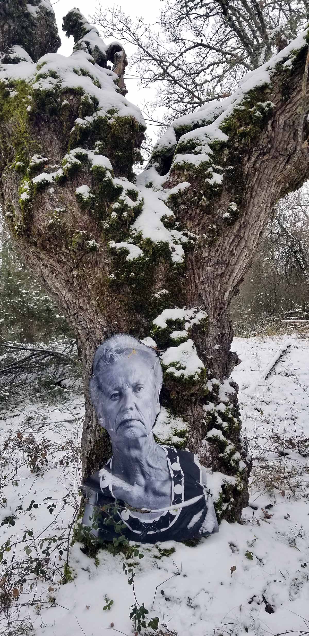 Unidos a los robles cuyas raíces anclan a la tierra de Lara, en una dehesa a la sombra de la sierra de Las Mamblas, cerca de Mambrillas de Lara, se encuentra el proyecto fotográfico 'Enraizados' | Un plan al aire libre para estos días de cierre provincial, un homenaje a los que han trabajado la tierra. 