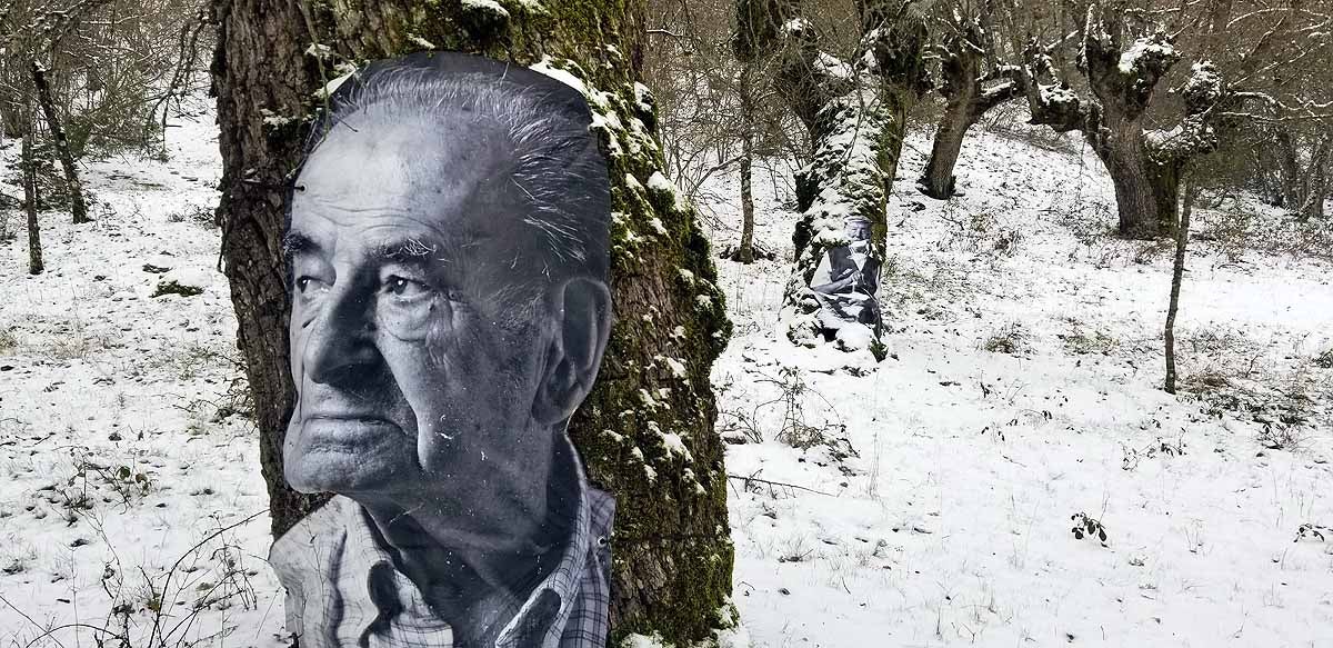 Unidos a los robles cuyas raíces anclan a la tierra de Lara, en una dehesa a la sombra de la sierra de Las Mamblas, cerca de Mambrillas de Lara, se encuentra el proyecto fotográfico 'Enraizados' | Un plan al aire libre para estos días de cierre provincial, un homenaje a los que han trabajado la tierra. 