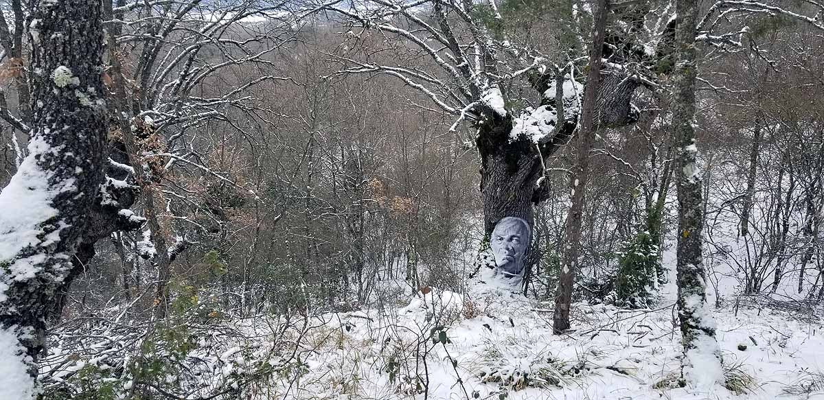 Unidos a los robles cuyas raíces anclan a la tierra de Lara, en una dehesa a la sombra de la sierra de Las Mamblas, cerca de Mambrillas de Lara, se encuentra el proyecto fotográfico 'Enraizados' | Un plan al aire libre para estos días de cierre provincial, un homenaje a los que han trabajado la tierra. 