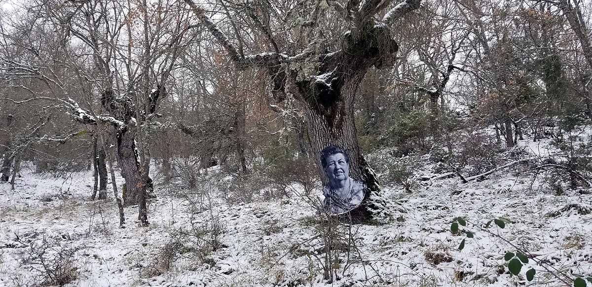 Unidos a los robles cuyas raíces anclan a la tierra de Lara, en una dehesa a la sombra de la sierra de Las Mamblas, cerca de Mambrillas de Lara, se encuentra el proyecto fotográfico 'Enraizados' | Un plan al aire libre para estos días de cierre provincial, un homenaje a los que han trabajado la tierra. 