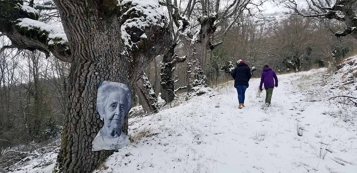 Unidos a los robles cuyas raíces anclan a la tierra de Lara, en una dehesa a la sombra de la sierra de Las Mamblas, cerca de Mambrillas de Lara, se encuentra el proyecto fotográfico 'Enraizados' | Un plan al aire libre para estos días de cierre provincial, un homenaje a los que han trabajado la tierra. 