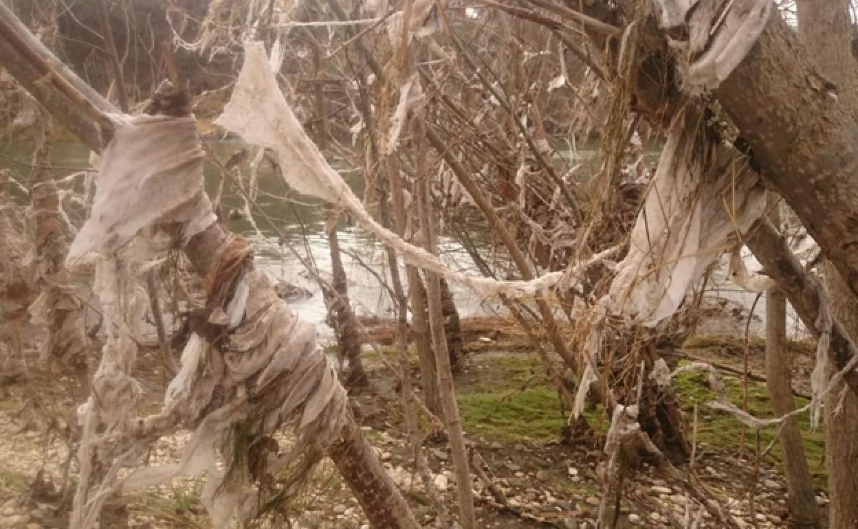 Vertidos en la orilla del río Ebro. 