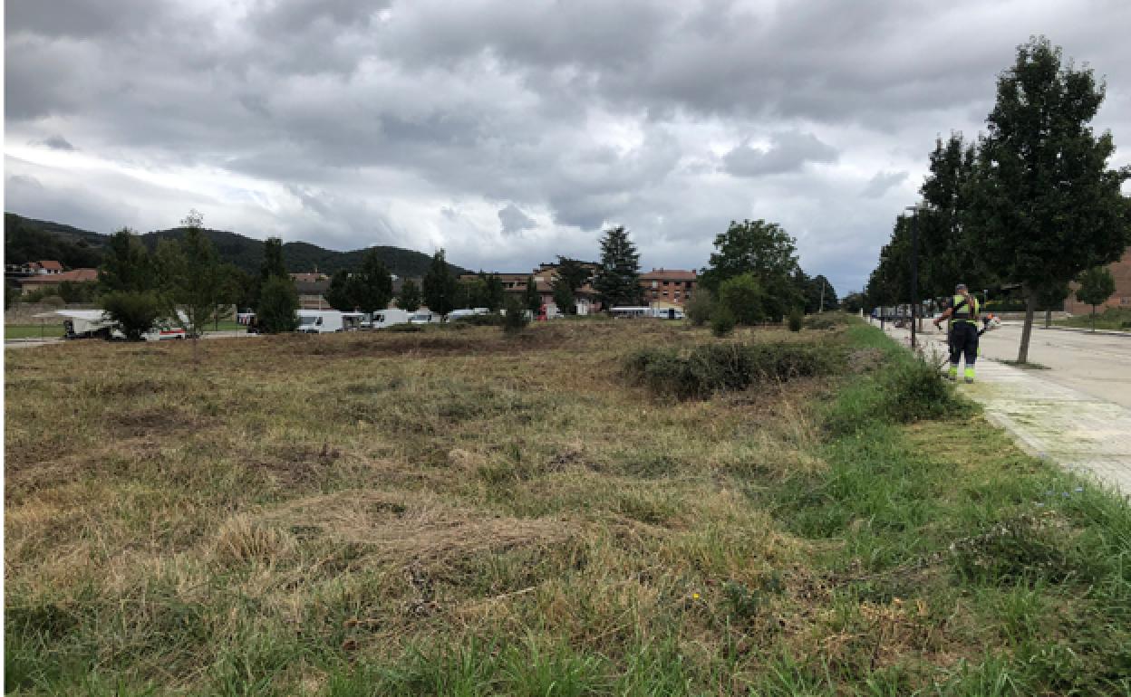 Un trabajador realiza labores de desbroce en un solar. 