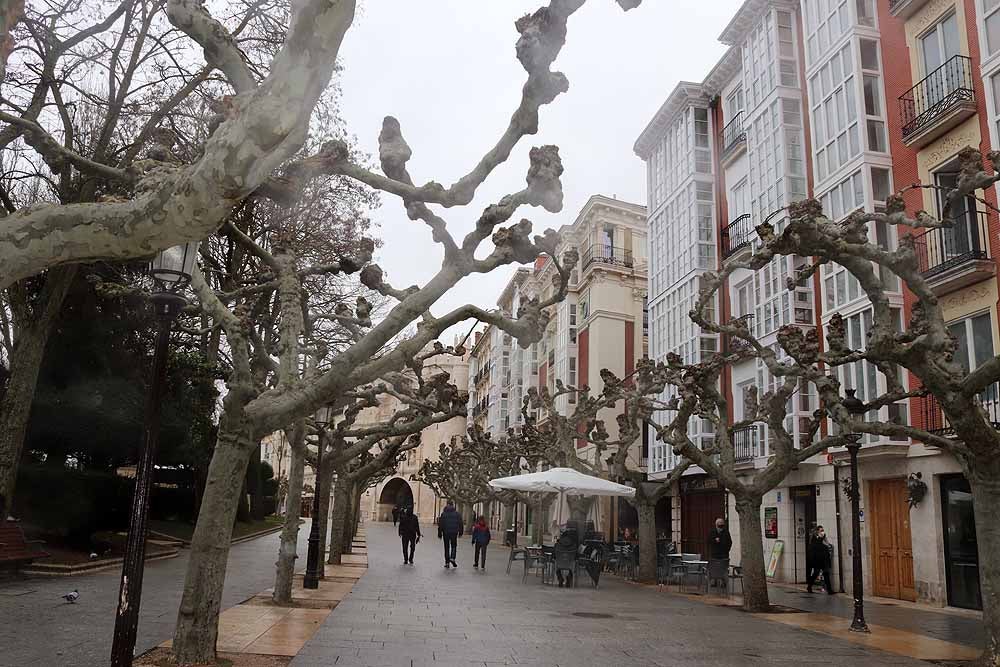 Fotos: Las calles de Burgos notan la ausencia de las fiestas por el patrón San Lesmes