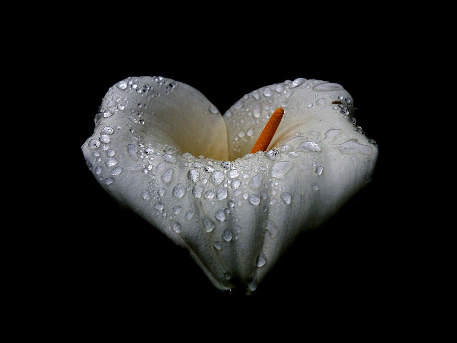 Fotos: Recuerdos latentes, futuro talentoso