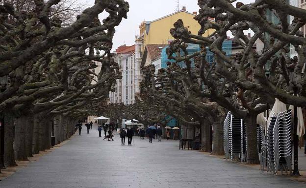 El paro se reduce en 275 personas en Burgos en el mes de febrero