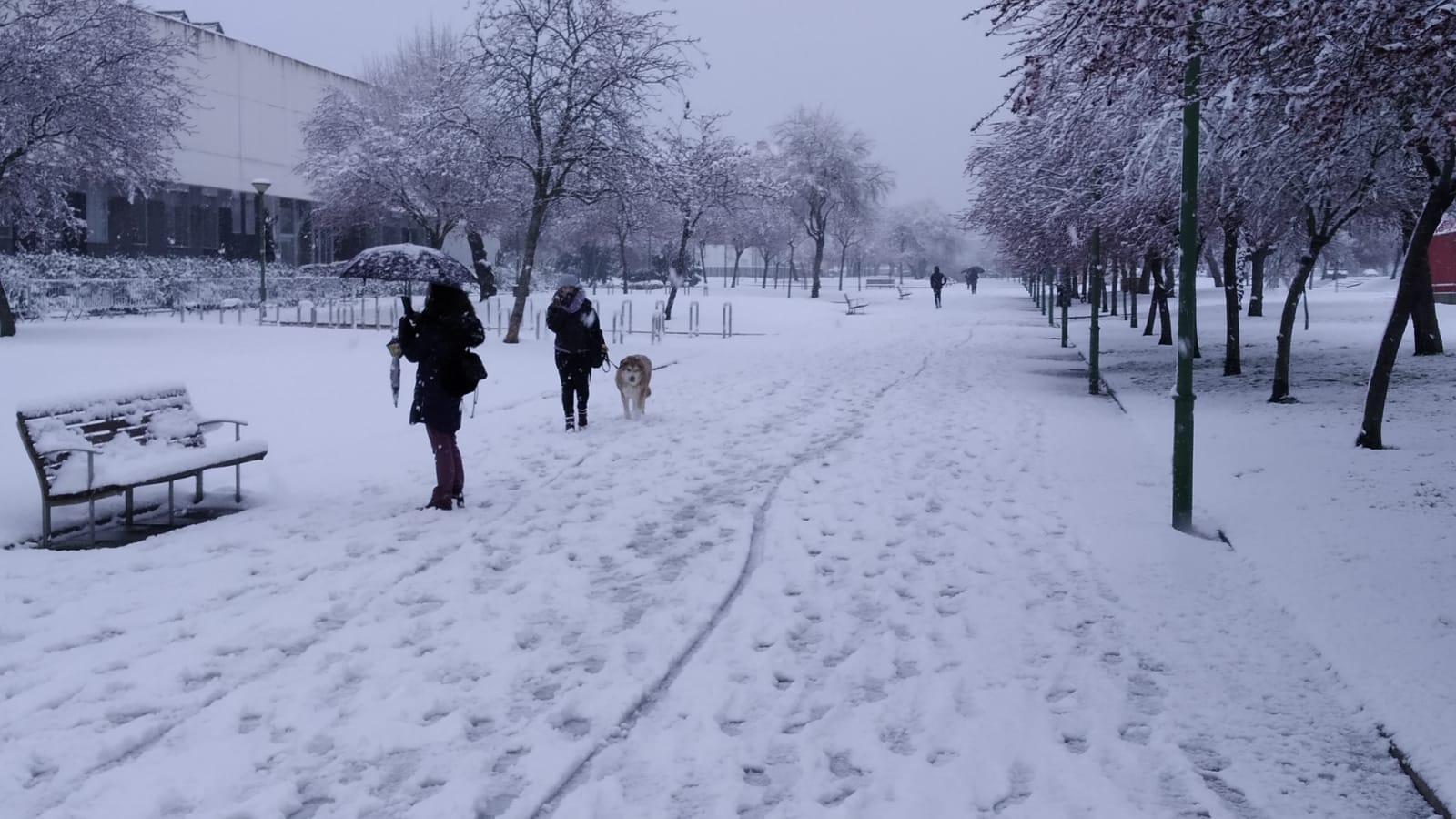 Fotos: La nieve también cubre Gamonal y Fuentecillas