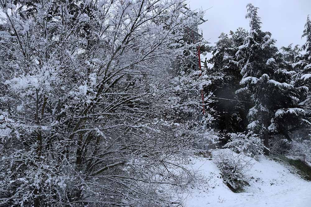 Fotos: La nieve también cubre Gamonal y Fuentecillas