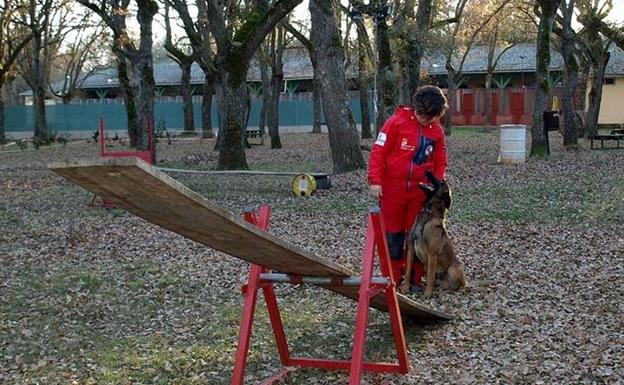 Casi 800.000 euros para reformar la perrera municipal, que deja fuera al GREM