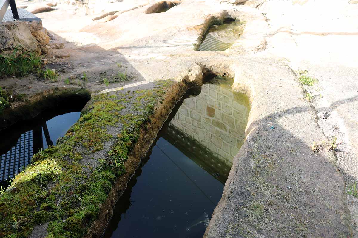 Los trabajos quitarán el musgo de la roca, cuyas raíces desconchan las piedras, y dejarán el líquen, que protege la piedra.