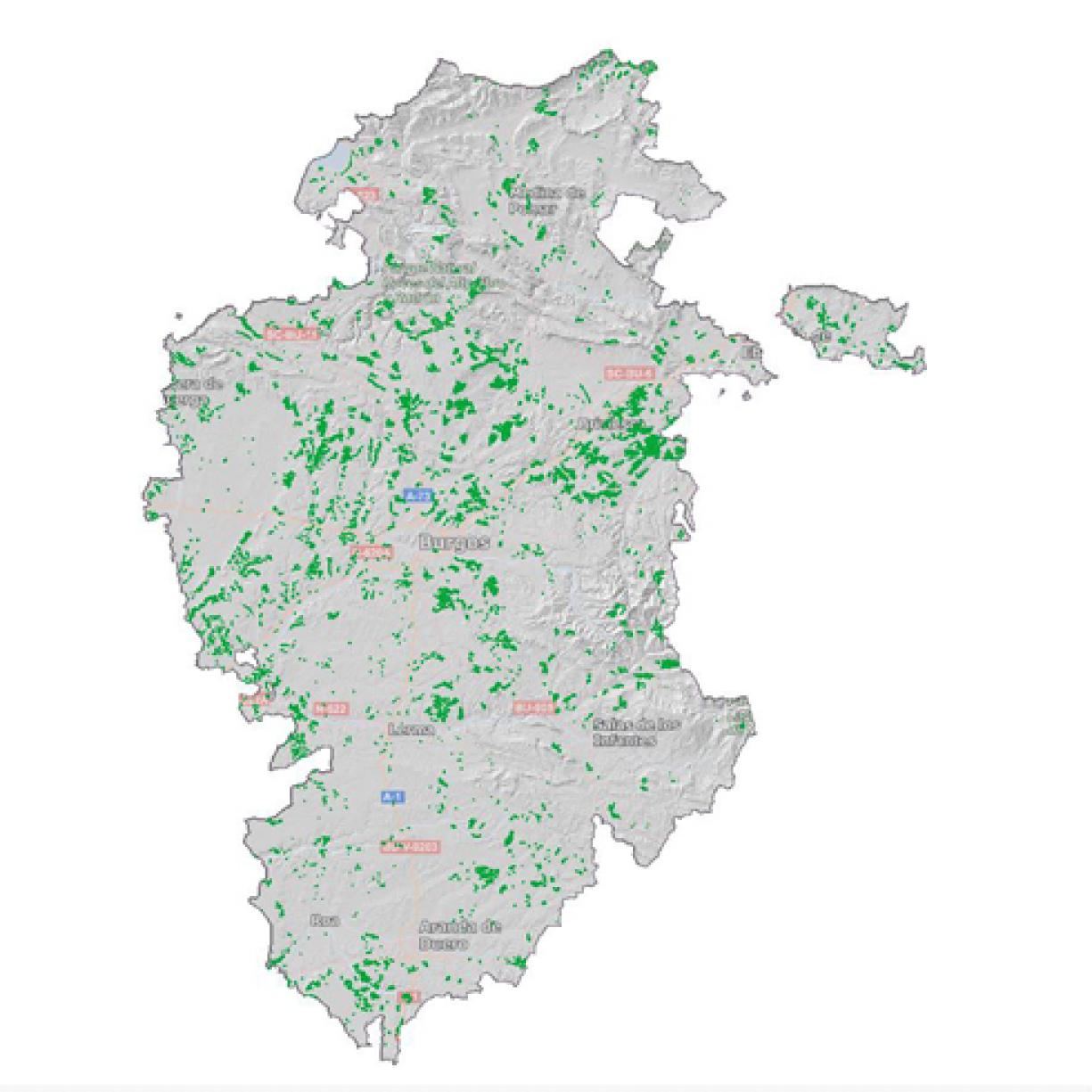 Mapa de las plantaciones en Burgos. 