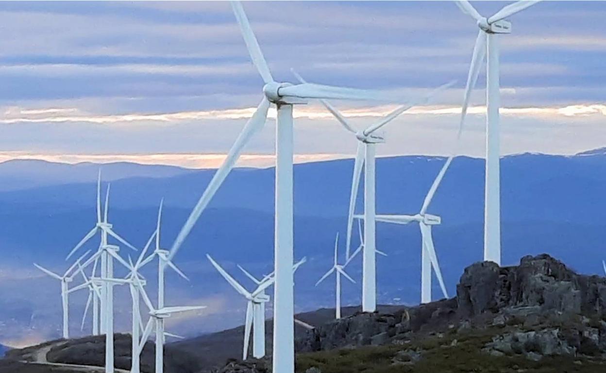 Seis organizaciones se unen para luchar contra los grandes proyecto eólicos en la Cordillera Cantábrica