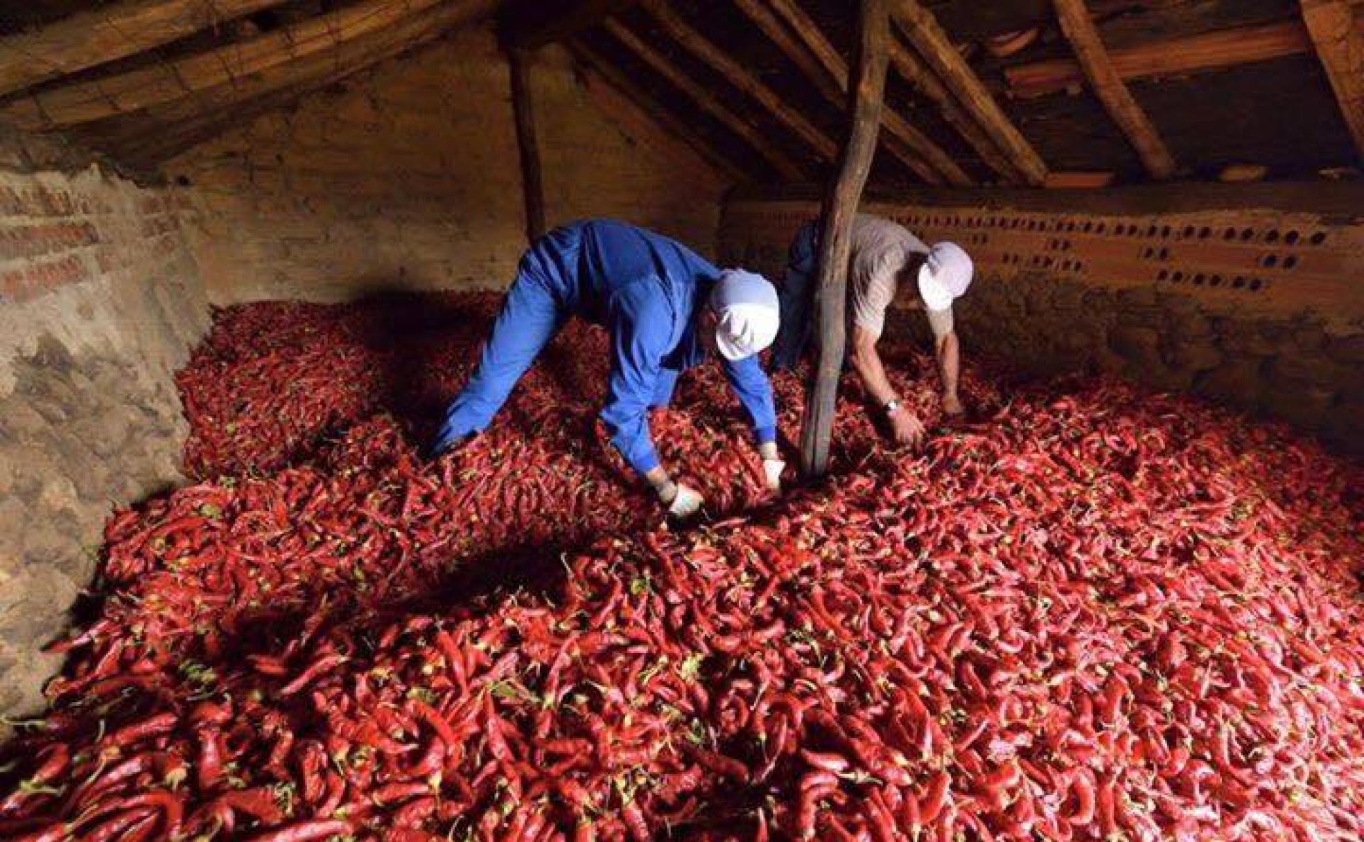 El pimentón, el 'oro rojo' de Candeleda, encabeza la lista de una rica gastronomía basada en los productos de la tierra.