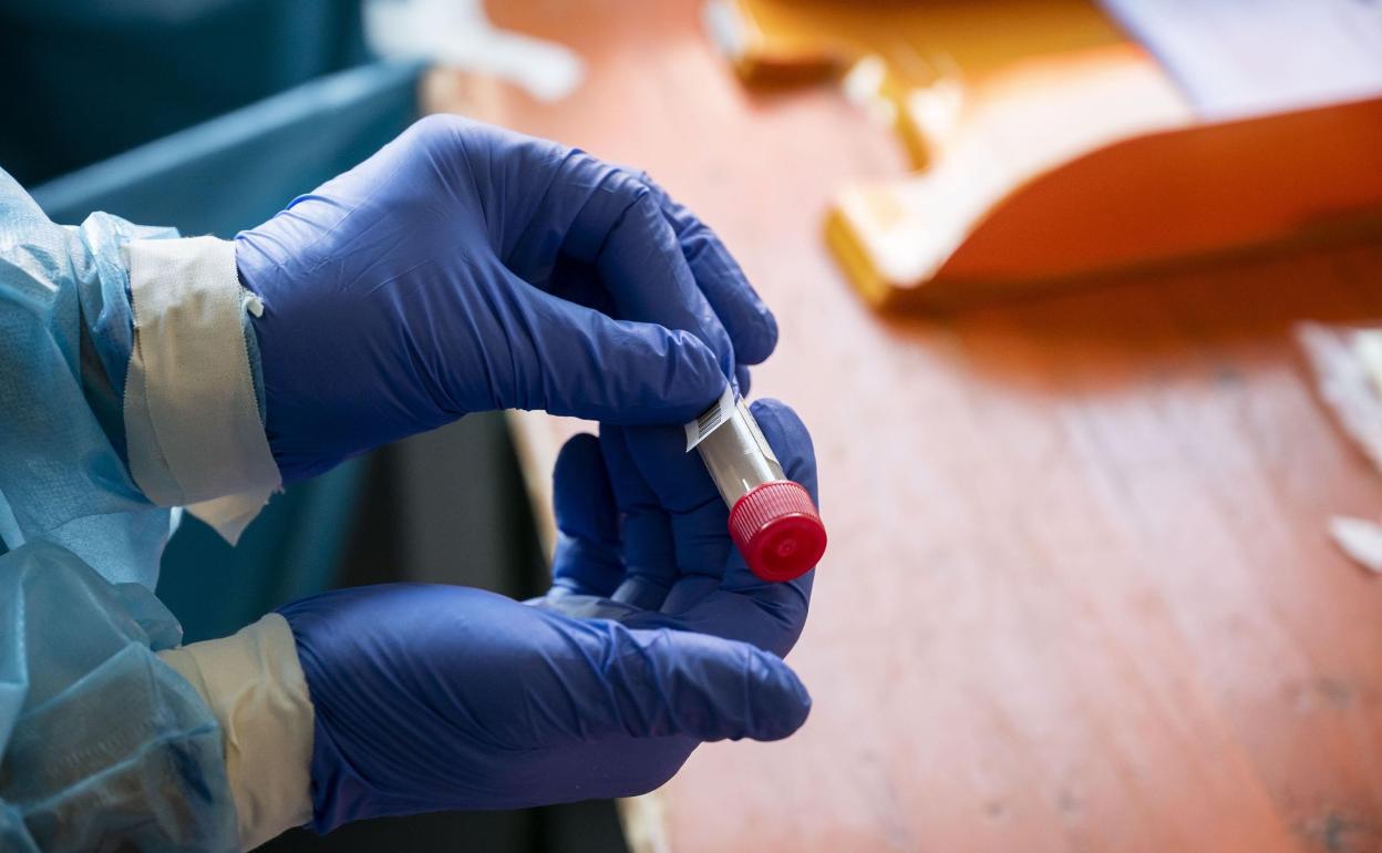 Coronavirus en Burgos: Otros 81 positivos por covid-19 en Burgos en una jornada sin fallecidos