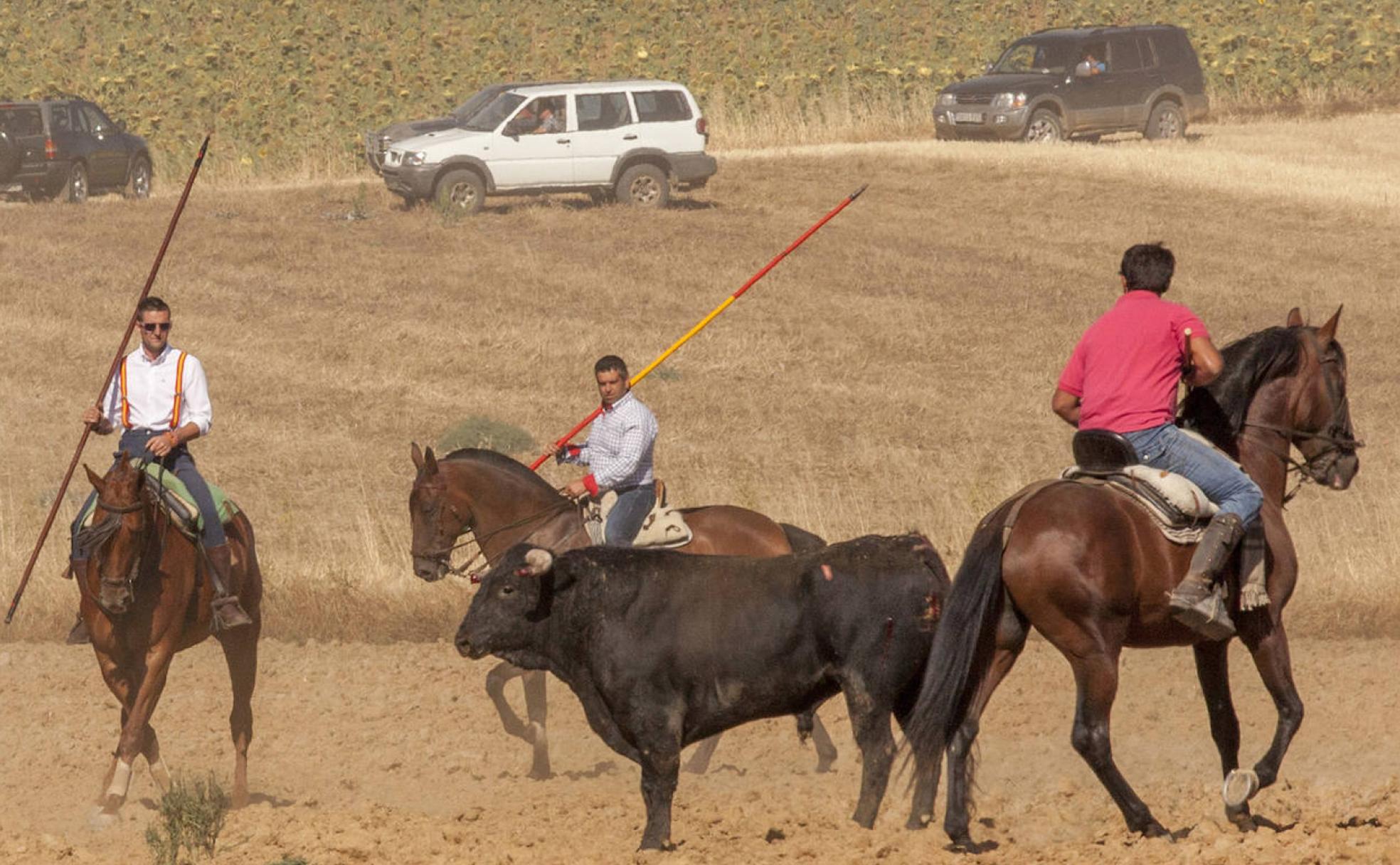 Caballistas en el encierro de campo de San Cristóbal.