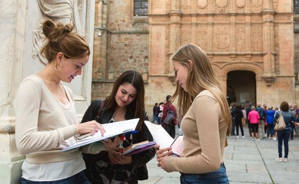 Encantada de conocerte Despertar Equipar Ya se conoce el plazo para inscribirse en las universidades públicas de  Castilla y León | BURGOSconecta