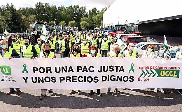 Los agricultores y ganaderos burgaleses han salido a las calles de Burgos para exigir una negociación de la PAC en la que sean escuchados. 