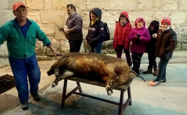 Los niños, junto al cerdo recién chamuscado, siguen atentos las labores de la matanza.