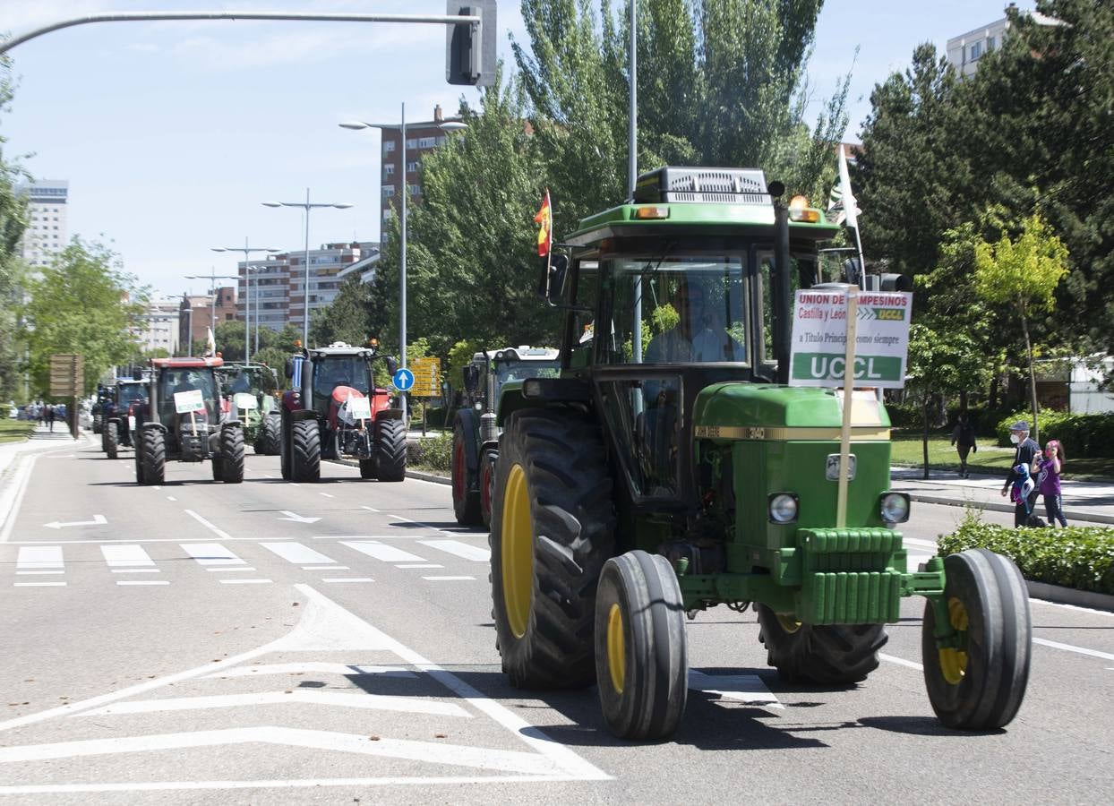 Fotos: Tractorada en Valladolid por una PAC justa