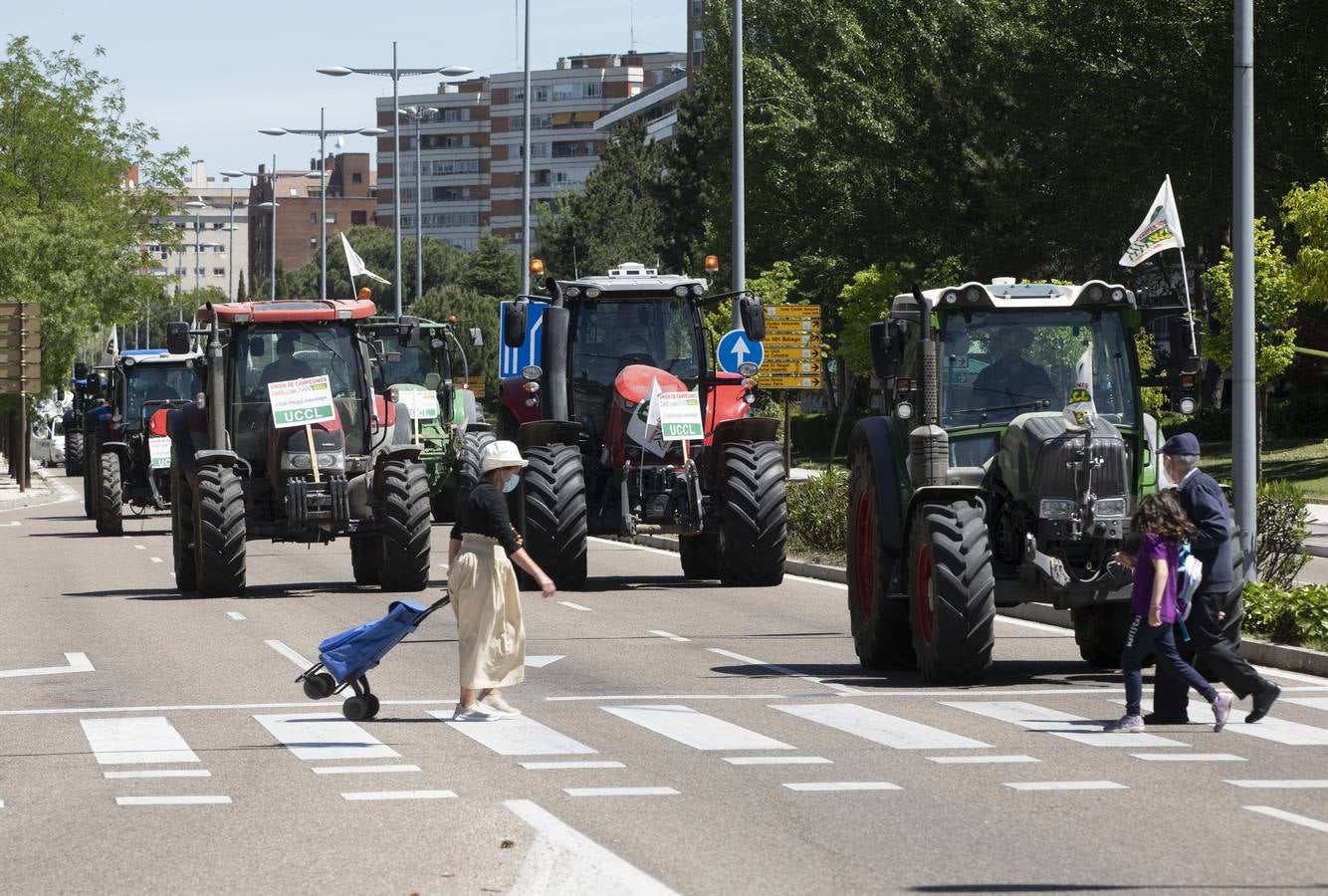 Fotos: Tractorada en Valladolid por una PAC justa