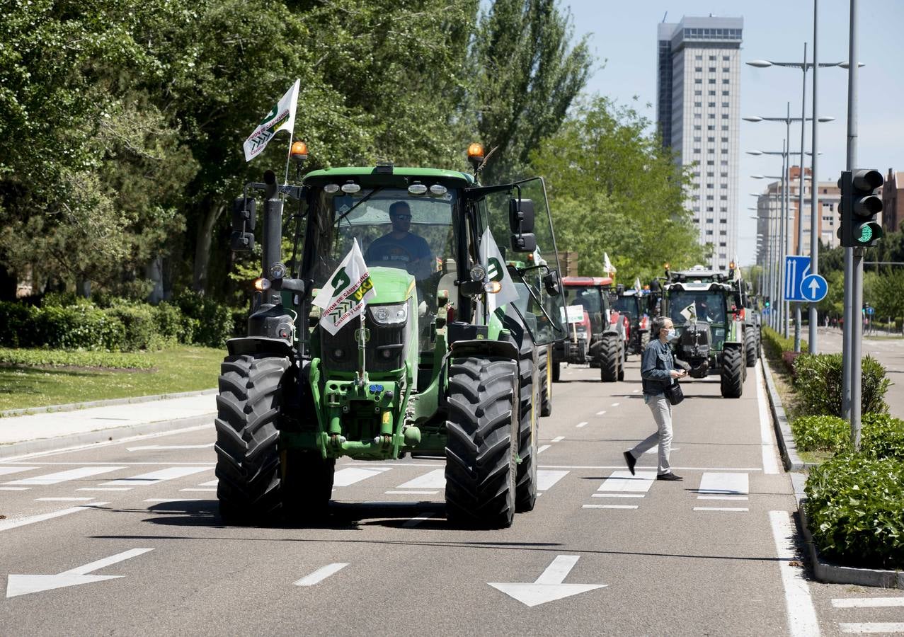 Fotos: Tractorada en Valladolid por una PAC justa