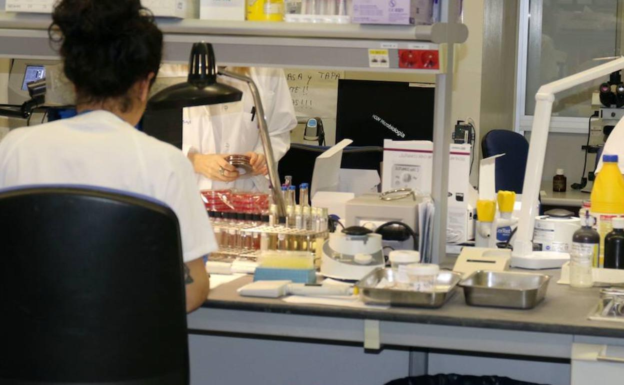 Laboratorio del Centro Nacional de la Gripe en Valladolid. 