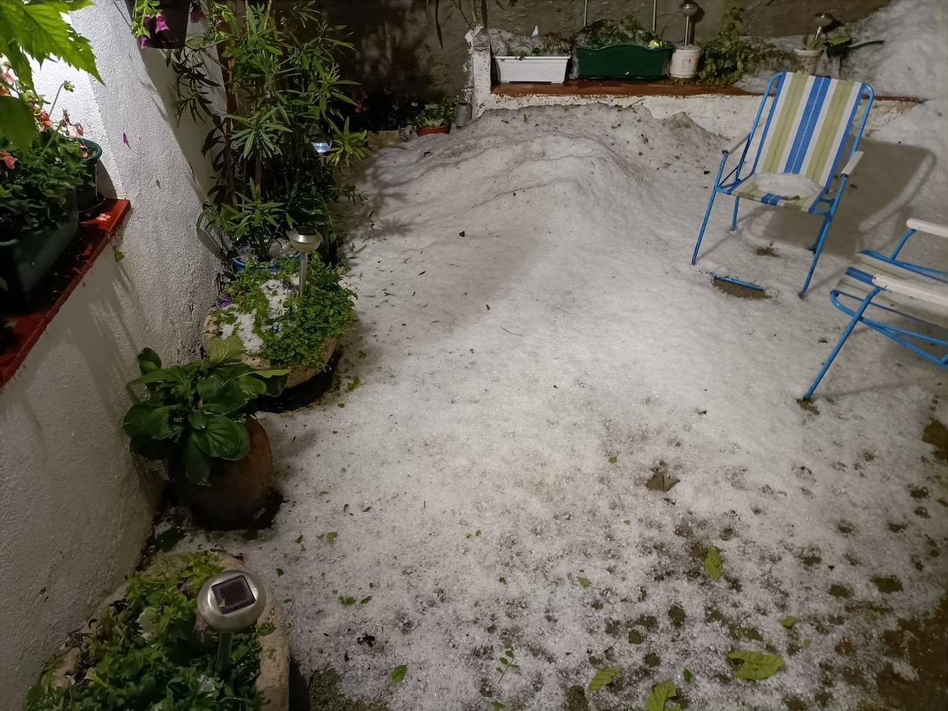 Imagen. Piñel de Abajo. 