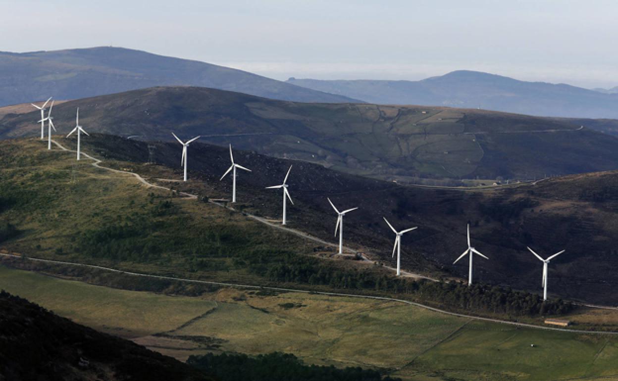 Parque eólico de Iberdrola en Valdeporres. 