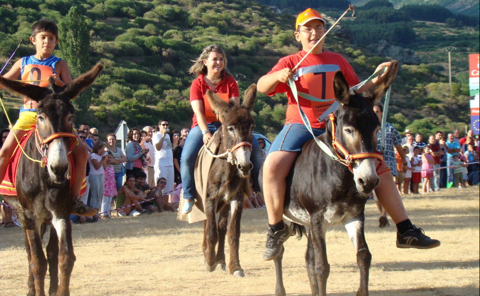 Carrera de burros en la localidad de Triollo.