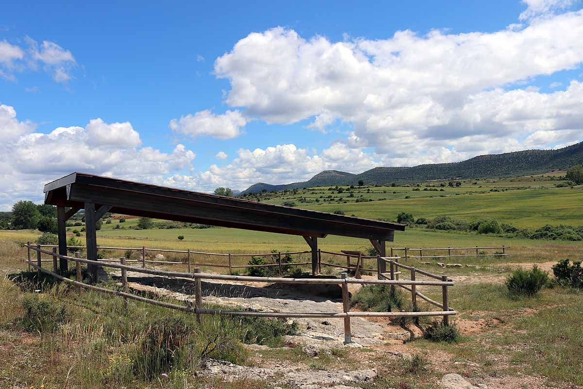 Fotos: Paseando entre dinosaurios en Burgos