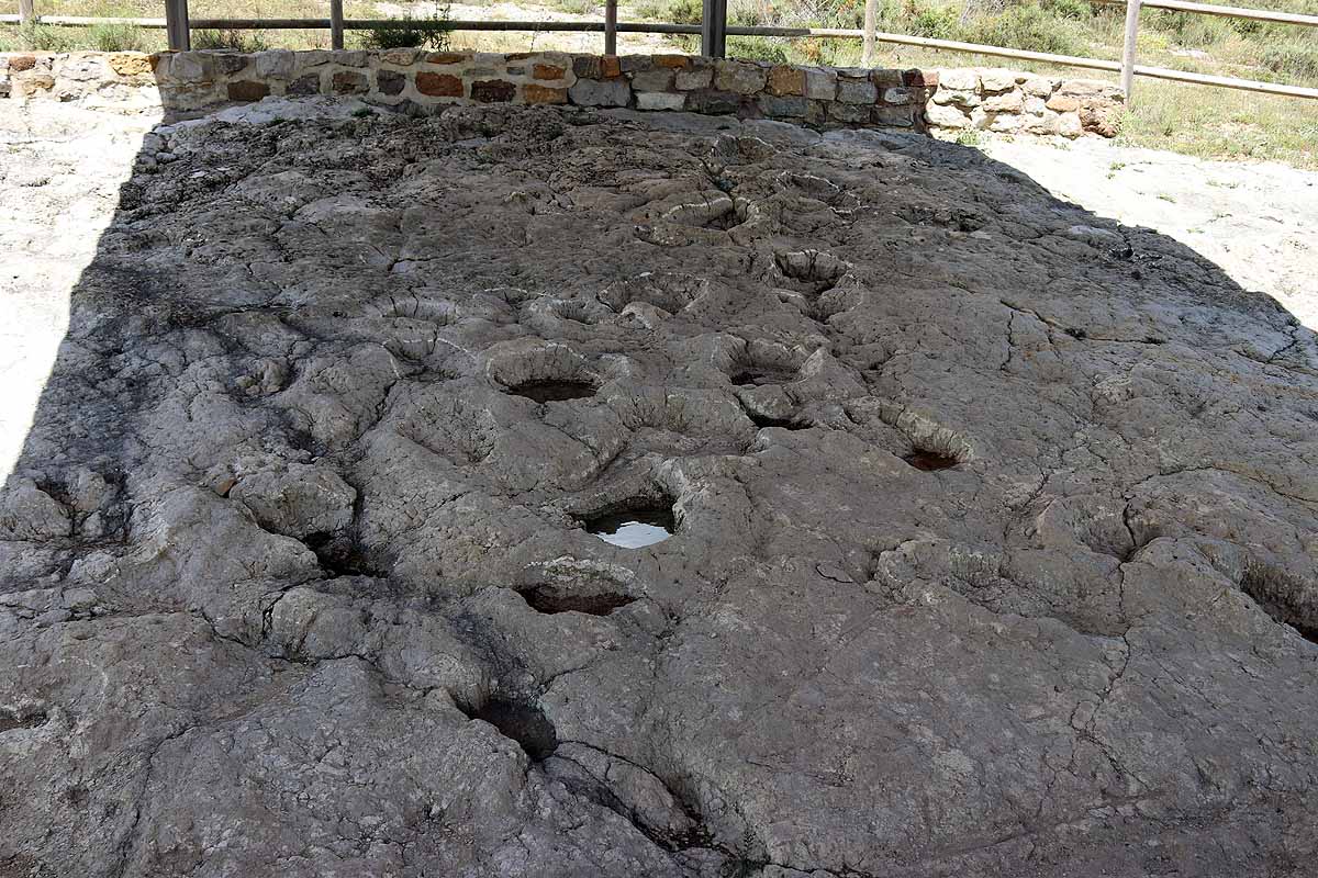 Fotos: Paseando entre dinosaurios en Burgos