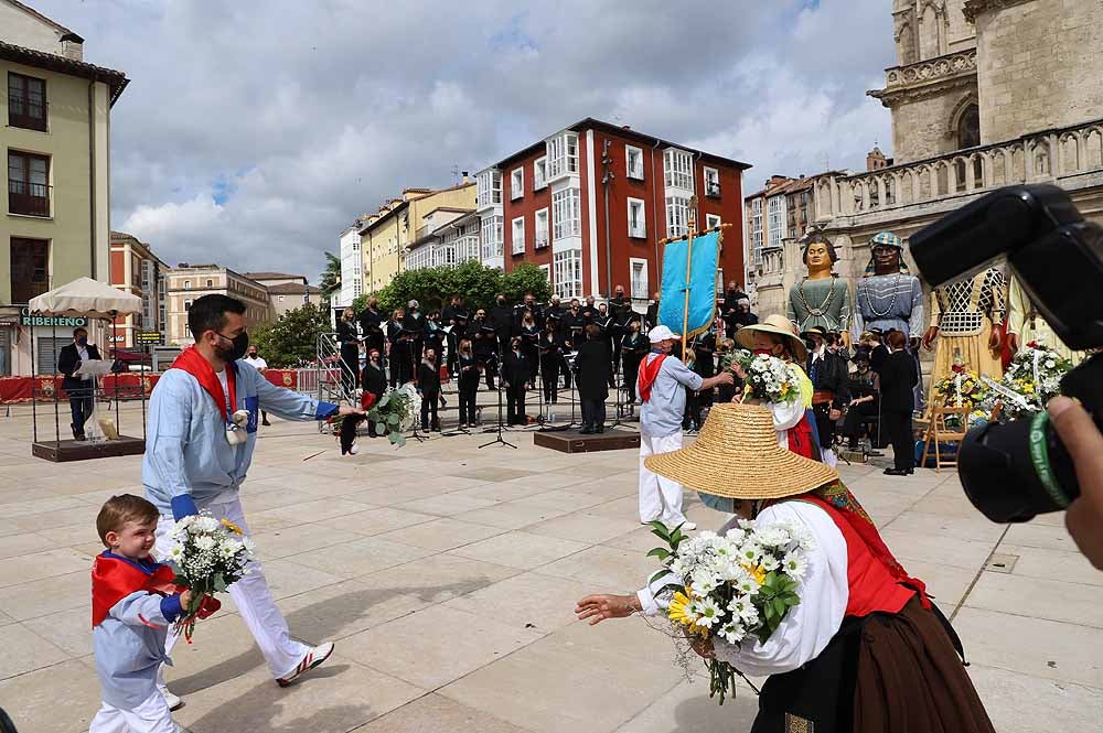 Fotos: La ofrenda floral a Santa María la Mayor en Burgos ha vuelto a la calle