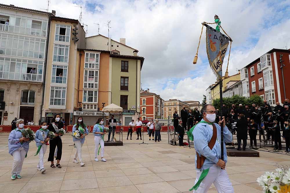 Fotos: La ofrenda floral a Santa María la Mayor en Burgos ha vuelto a la calle