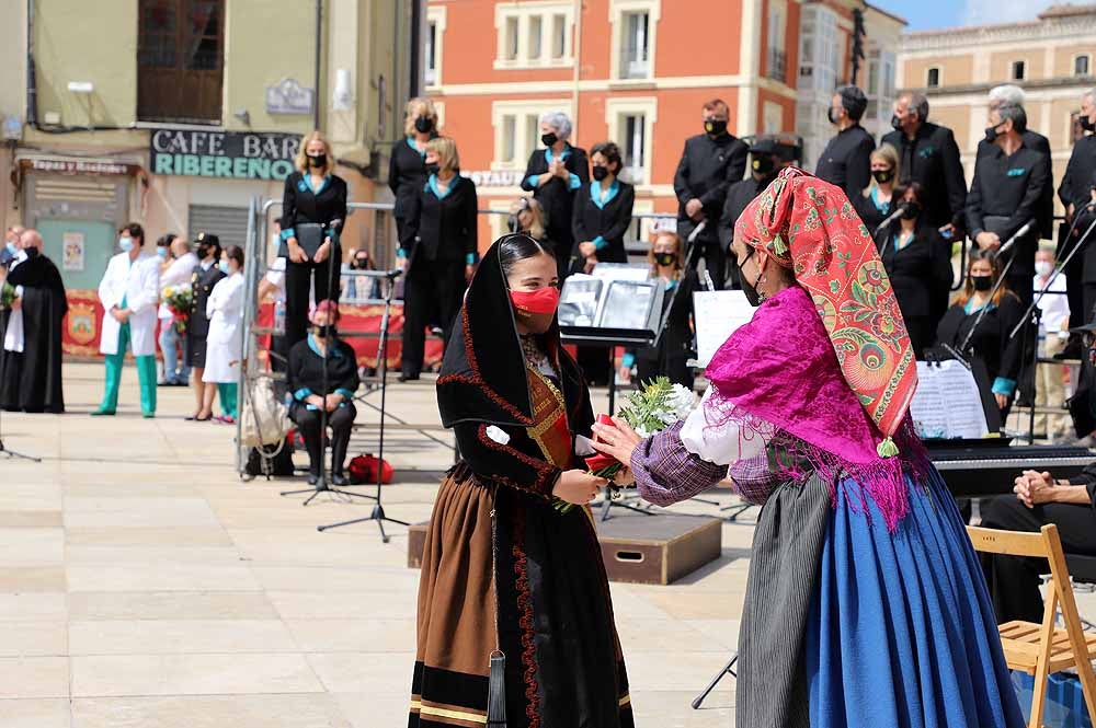 Fotos: La ofrenda floral a Santa María la Mayor en Burgos ha vuelto a la calle