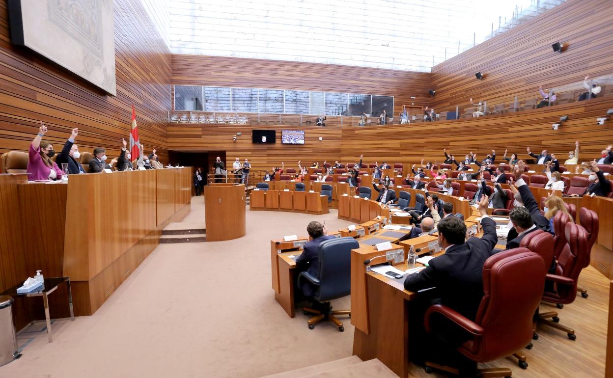 Votación en un pleno de las Cortes Autonómicas. 